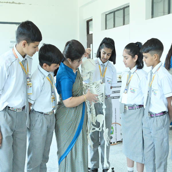 Senior Secondary