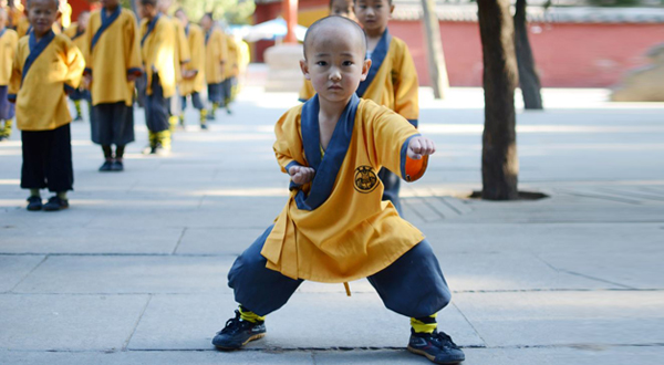 Kung Fu & Martial Arts